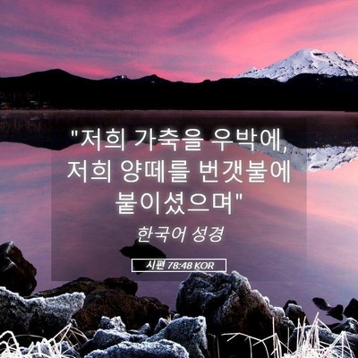 Picture 05 - 시편 78:48 KOR - 