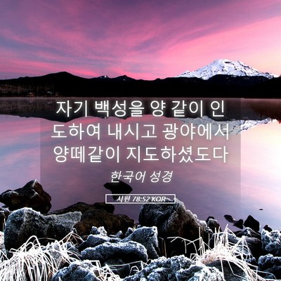 Picture 05 - 시편 78:52 KOR - 자기 백성을 양 같이 인도하여 - Bible Verse Picture