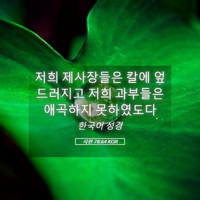 Picture 05 - 시편 78:64 KOR - 저희 제사장들은 칼에 엎드러지고 - Bible Verse Picture