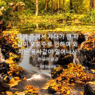 Picture 05 - 시편 78:65 KOR - 때에 주께서 자다가 깬 자 같이 - Bible Verse Picture