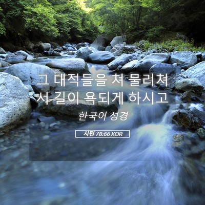 Picture 05 - 시편 78:66 KOR - 그 대적들을 쳐 물리쳐서 길이 - Bible Verse Picture