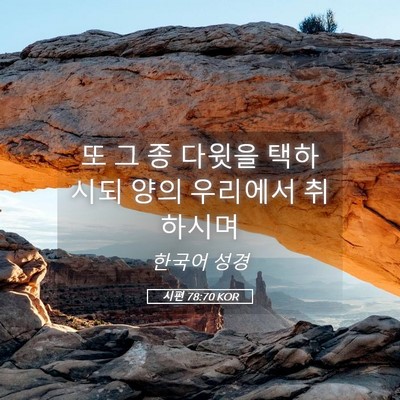 Picture 05 - 시편 78:70 KOR - 또 그 종 다윗을 택하시되 양의 - Bible Verse Picture