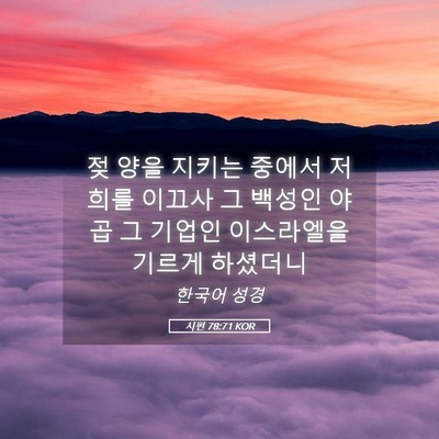 Picture 05 - 시편 78:71 KOR - 젖 양을 지키는 중에서 저희를 - Bible Verse Picture