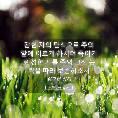 Picture 05 - 시편 79:11 KOR - 갇힌 자의 탄식으로 주의 앞에 - Bible Verse Picture