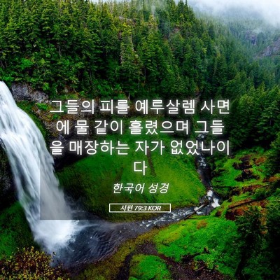 Picture 05 - 시편 79:3 KOR - 그들의 피를 예루살렘 사면에 물 - Bible Verse Picture