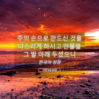 Picture 05 - 시편 8:6 KOR - 주의 손으로 만드신 것을 다스리게 - Bible Verse Picture