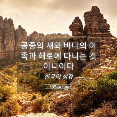 Picture 05 - 시편 8:8 KOR - 공중의 새와 바다의 어족과 해로에 - Bible Verse Picture