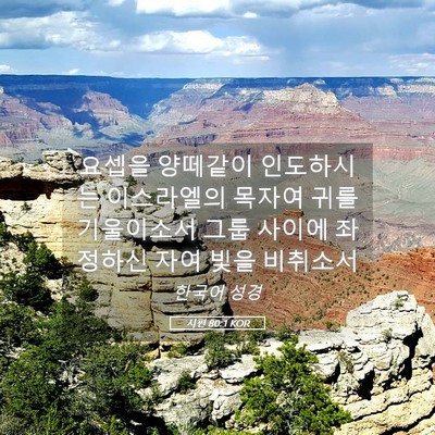Picture 05 - 시편 80:1 KOR - 요셉을 양떼같이 인도하시는 - Bible Verse Picture
