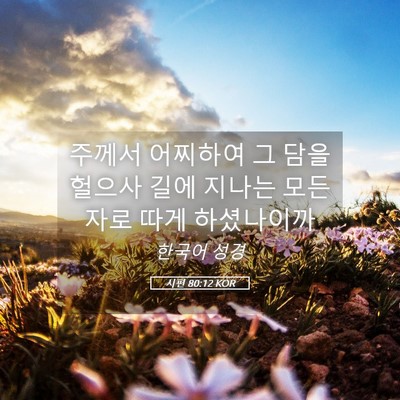 Picture 05 - 시편 80:12 KOR - 주께서 어찌하여 그 담을 헐으사 - Bible Verse Picture