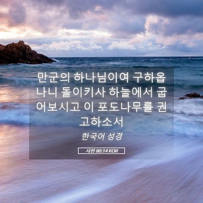 Picture 05 - 시편 80:14 KOR - 만군의 하나님이여 구하옵나니 - Bible Verse Picture