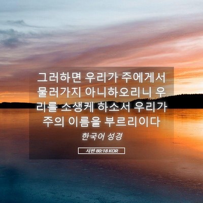 Picture 05 - 시편 80:18 KOR - 그러하면 우리가 주에게서 물러가지 - Bible Verse Picture
