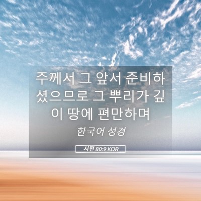 Picture 05 - 시편 80:9 KOR - 주께서 그 앞서 준비하셨으므로 그 - Bible Verse Picture