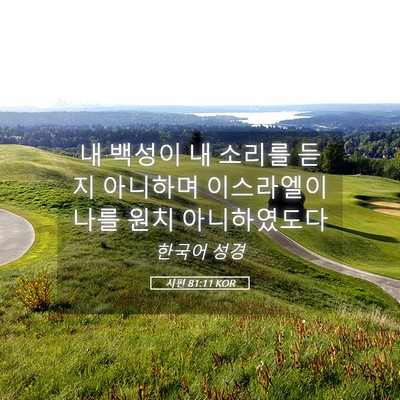 Picture 05 - 시편 81:11 KOR - 내 백성이 내 소리를 듣지 아니하며 - Bible Verse Picture