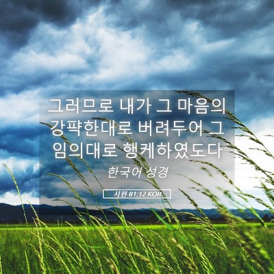 Picture 05 - 시편 81:12 KOR - 그러므로 내가 그 마음의 강퍅한대로 - Bible Verse Picture