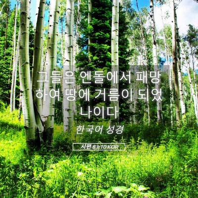 Picture 05 - 시편 83:10 KOR - 그들은 엔돌에서 패망하여 땅에 - Bible Verse Picture