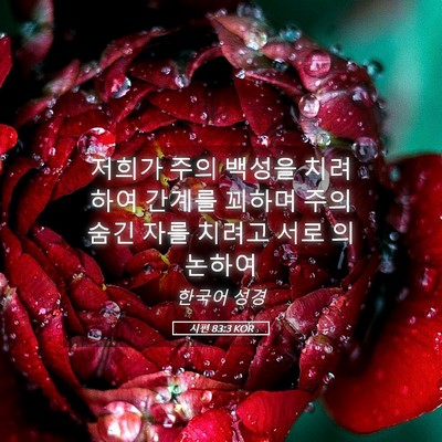 Picture 05 - 시편 83:3 KOR - 저희가 주의 백성을 치려 하여 - Bible Verse Picture