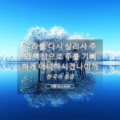 Picture 05 - 시편 85:6 KOR - 우리를 다시 살리사 주의 백성으로 - Bible Verse Picture