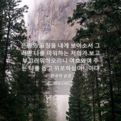 Picture 05 - 시편 86:17 KOR - 은총의 표징을 내게 보이소서 그러면 - Bible Verse Picture