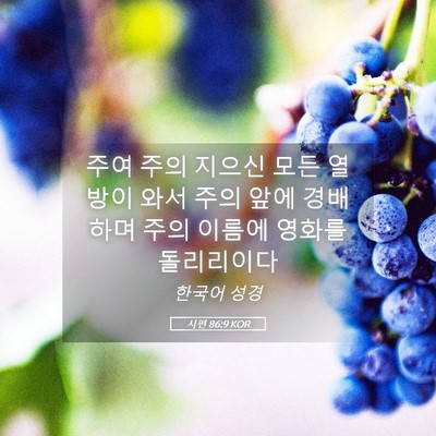 Picture 05 - 시편 86:9 KOR - 주여 주의 지으신 모든 열방이 와서 - Bible Verse Picture