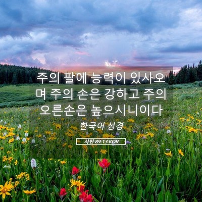 Picture 05 - 시편 89:13 KOR - 주의 팔에 능력이 있사오며 주의 - Bible Verse Picture