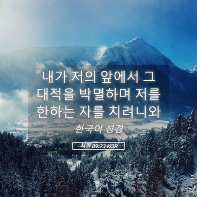 Picture 05 - 시편 89:23 KOR - 내가 저의 앞에서 그 대적을 - Bible Verse Picture