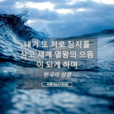 Picture 05 - 시편 89:27 KOR - 내가 또 저로 장자를 삼고 세계 - Bible Verse Picture