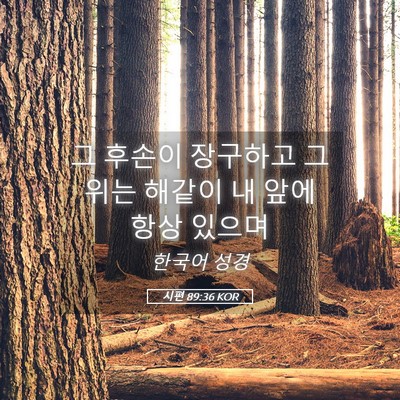 Picture 05 - 시편 89:36 KOR - 그 후손이 장구하고 그 위는 해같이 - Bible Verse Picture