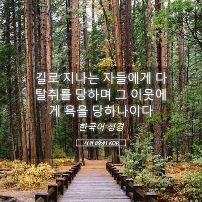 Picture 05 - 시편 89:41 KOR - 길로 지나는 자들에게 다 탈취를 - Bible Verse Picture