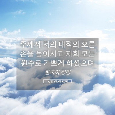 Picture 05 - 시편 89:42 KOR - 주께서 저의 대적의 오른손을 - Bible Verse Picture