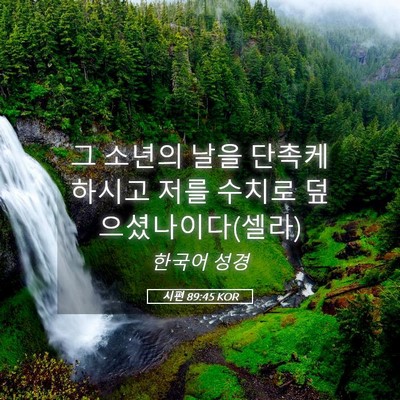 Picture 05 - 시편 89:45 KOR - 그 소년의 날을 단촉케 하시고 저를 - Bible Verse Picture