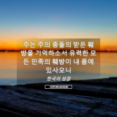Picture 05 - 시편 89:50 KOR - 주는 주의 종들의 받은 훼방을 - Bible Verse Picture