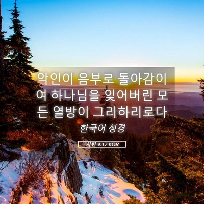 Picture 05 - 시편 9:17 KOR - 악인이 음부로 돌아감이여 하나님을 - Bible Verse Picture
