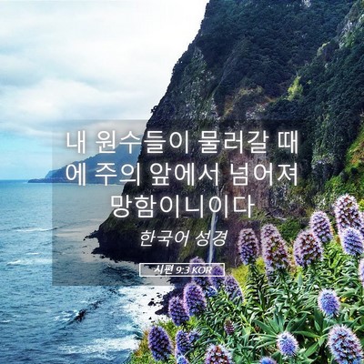 Picture 05 - 시편 9:3 KOR - 내 원수들이 물러갈 때에 주의 - Bible Verse Picture