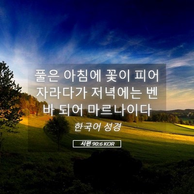 Picture 05 - 시편 90:6 KOR - 풀은 아침에 꽃이 피어 자라다가 - Bible Verse Picture