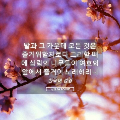 Picture 05 - 시편 96:12 KOR - 밭과 그 가운데 모든 것은 - Bible Verse Picture