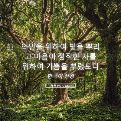Picture 05 - 시편 97:11 KOR - 의인을 위하여 빛을 뿌리고 마음이 - Bible Verse Picture