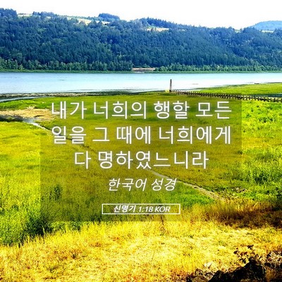Picture 05 - 신명기 1:18 KOR - 내가 너희의 행할 모든 일을 그 때에 - Bible Verse Picture