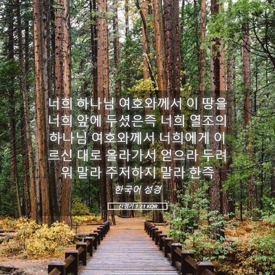 Picture 05 - 신명기 1:21 KOR - 너희 하나님 여호와께서 이 땅을 - Bible Verse Picture