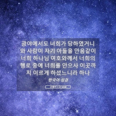 Picture 05 - 신명기 1:31 KOR - 광야에서도 너희가 당하였거니와 - Bible Verse Picture