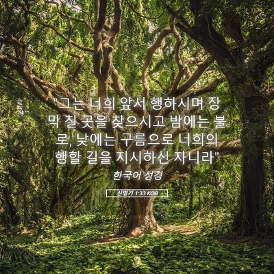 Picture 05 - 신명기 1:33 KOR - 