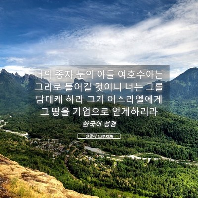 Picture 05 - 신명기 1:38 KOR - 너의 종자 눈의 아들 여호수아는 - Bible Verse Picture