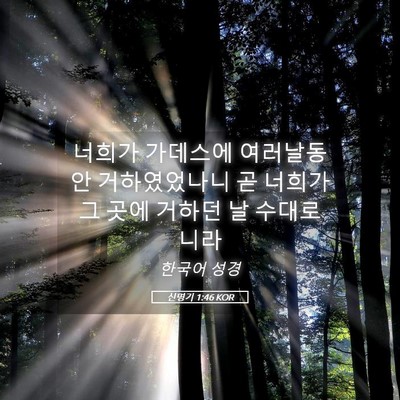 Picture 05 - 신명기 1:46 KOR - 너희가 가데스에 여러날동안 - Bible Verse Picture