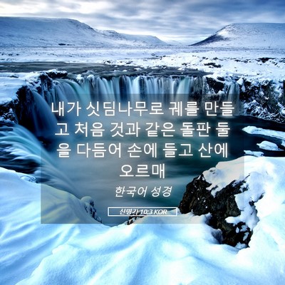 Picture 05 - 신명기 10:3 KOR - 내가 싯딤나무로 궤를 만들고 처음 - Bible Verse Picture