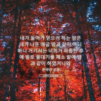 Picture 05 - 신명기 11:10 KOR - 네가 들어가 얻으려 하는 땅은 네가 - Bible Verse Picture