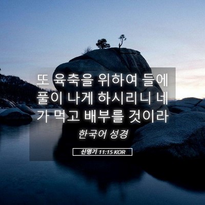 Picture 05 - 신명기 11:15 KOR - 또 육축을 위하여 들에 풀이 나게 - Bible Verse Picture