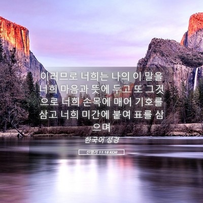 Picture 05 - 신명기 11:18 KOR - 이러므로 너희는 나의 이 말을 너희 - Bible Verse Picture