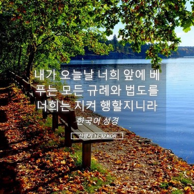 Picture 05 - 신명기 11:32 KOR - 내가 오늘날 너희 앞에 베푸는 모든 - Bible Verse Picture