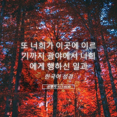 Picture 05 - 신명기 11:5 KOR - 또 너희가 이곳에 이르기까지 - Bible Verse Picture
