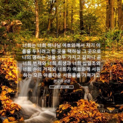 Picture 05 - 신명기 12:11 KOR - 너희는 너희 하나님 여호와께서 자기 - Bible Verse Picture