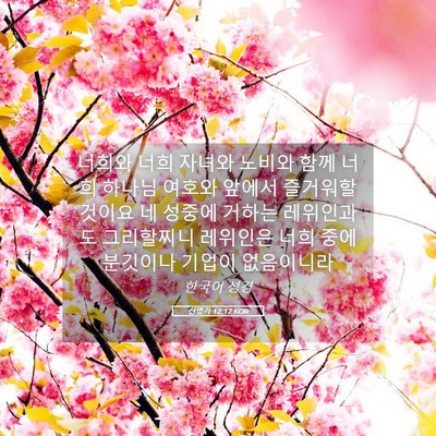 Picture 05 - 신명기 12:12 KOR - 너희와 너희 자녀와 노비와 함께 - Bible Verse Picture